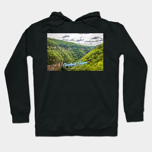 Cloudland Canyon State Park Hoodie by Gestalt Imagery